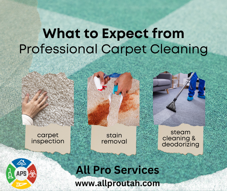 What To Expect From A Professional Carpet Cleaning Service